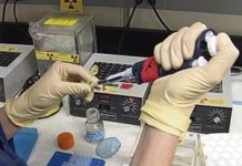 IMI acumula 23 proyectos de investigación en curso
