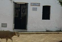 Los rurales tienen dudas sobre el concurso andaluz