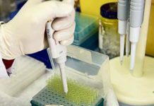 El Biobanco de Andalucía gestionará en red todas las muestras biológicas