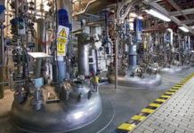 España es centro mundial de producción de amoxicilinas