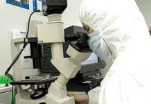 Los TARV redujeron un 75% las muertes por VIH/sida