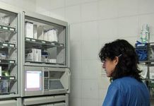 Los COF ven el listado único de DH como un mal menor