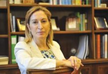 “No queremos más Planes E ni cientos de asesores, debemos priorizar en el gasto en sanidad”