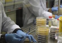 Los expertos creen que el borrador del RD de EECC no soluciona los males en torno a los CEICs
