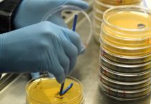 Efpia y CE se unen contra la resistencia a los antibióticos