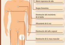 La importancia de la hormona masculina