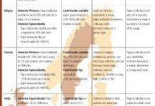 Casi todos los países europeos han recurrido a los pagos compartidos