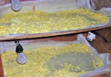 La OMS perfila sus aduanas contra medicamentos falsos