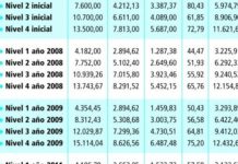 Suspensiones y retrocesos en la retribución de los niveles de la carrera profesional