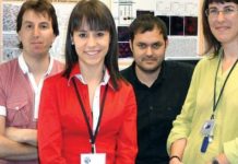 El fenotipo metabólico decide la conversión a célula madre tumoral