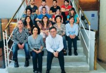La grasa parda modificará el manejo de la obesidad