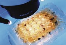 Fundación Medina y Cubist firman un acuerdo para buscar nuevos antibióticos
