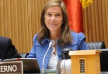 El presupuesto de Sanidad se reducirá entre un 13 y un 15 por ciento en 2013