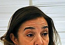 La secretaria de Estado de I+D reconoce las carencias de las cuentas de 2013
