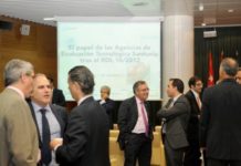 La crisis deja a la Red de Agencias en la tesitura de ser una oportunidad o una amenaza para el SNS