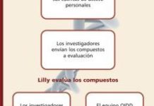 Falta formación empresarial para los emprendedores