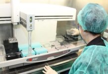 Vivia Biotech y Ferrer desarrollarán una terapia para el linfoma no Hodgkin
