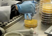 PhRMA pide a Obama más estímulos para la innovación