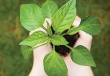 Una aplicación permitirá medir riesgos naturales