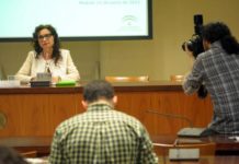Montero ‘desafía’ a la Ley de Garantías con la convocatoria del tercer concurso de subastas