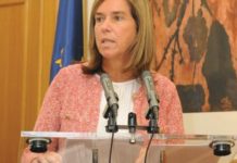 Mato: “Caminamos, por fin, hacia un sistema sanitario único y cohesionado”