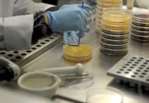IMI 2 se presenta con la intención de mejorar el acceso a la innovación