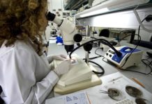 Investigadores del CSIC entregan más de 200.000 firmas para salvar el centro