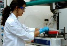Bayer trabaja para garantizar crecimientos futuros