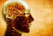 Un decálogo de recomendaciones en la utilización de antidepresivos en TB