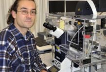 Biocaps es premiada por su investigación en esclerosis