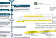La ampliación del plazo de las subastas es “casi imposible” de acuerdo a la legalidad