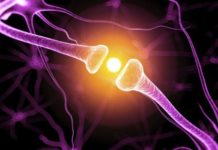 VÍNCULAN ESTENOSIS CAROTÍDEA CON DISFUNCIÓN COGNITIVA