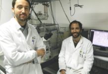 Alteracions en nivells de diverses integrines promouen tumors de mama