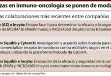 Las alianzas entre ‘big pharma’ y pequeñas ‘biotech’ están de moda en inmuno-oncología
