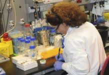 IMI 2 se abrirá a más socios y fomentará la capacidad de agentes de menor tamaño