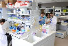 Cantabria estrena Instituto de Biomedicina