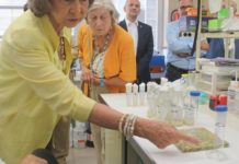 Reconocimiento a la investigación de la UIB