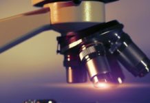 Los expertos en EE.RR. de la UE piden iniciativas para lograr más investigación