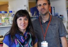 Avaluar l’expressió de cinc gens per predir recaigudes en càncer colorectal