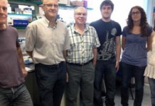 Nova molècula indueix ‘in vitro’ la mort cel·lular en línies cel·lulars tumorals