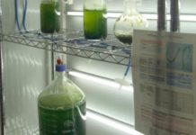 Asebio acerca la #biotechweek a la sociedad en las redes sociales