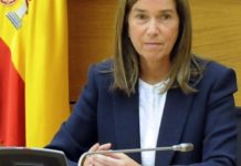Mato defiende los presupuestos asignados a enfermedades raras