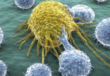 Expertos piden cuidados continuos en oncología desde el inicio de la terapia