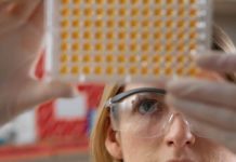 Las nuevas ayudas a la I+D no acaban de contentar al sector biotecnológico español