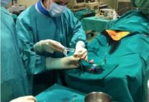 Madrid coordinará el primer ensayo con células madre cardiacas alogénicas