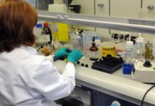 Las pymes innovadoras tendrán bonificaciones por sus empleados