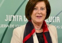 Sánchez Rubio tacha al PP de “irresponsable” por generar alarma sobre las subastas