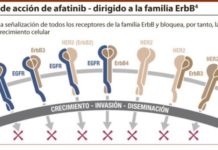 Afatinib logra reducir un 19% el riesgo de muerte en carcinoma epidermoide pulmónar