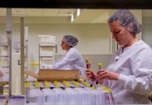 La industria farmacéutica ha generado más de 11.000 empleos en lo que llevamos de año