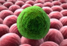 ‘Uniendo voces’, la campaña para apoyar a los pacientes con cáncer de cabeza y cuello